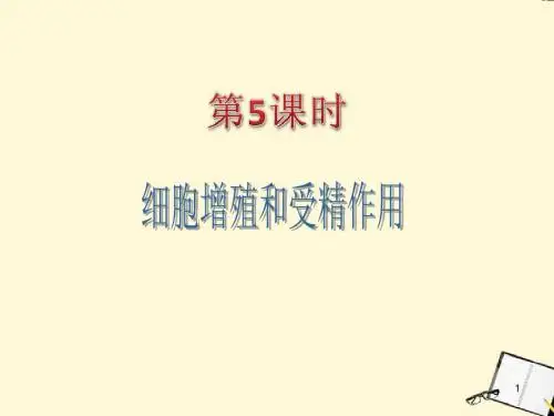 广东省高考生物二轮总复习第5课时细胞增殖和受精作用-34页PPT精品文档