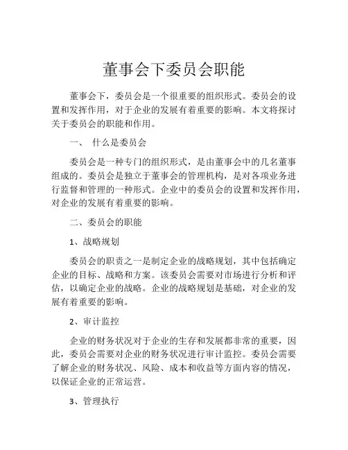 董事会下委员会职能