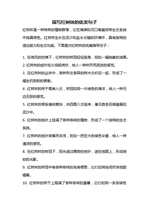 描写红树林的优美句子