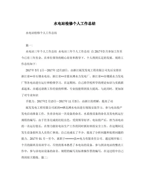 水电站检修个人工作总结