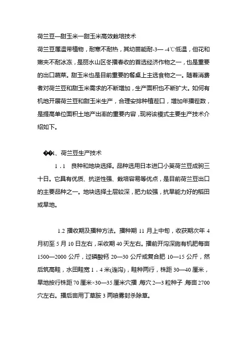 荷兰豆—甜玉米一甜玉米高效栽培技术