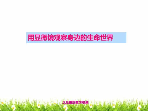 (新编)最新科教版小学六年级科学下册《用显微镜观察身边的生命世界》精品课件