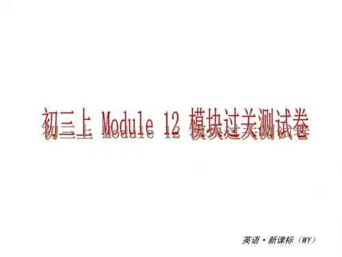 Module 12 Summer in LA(模块测试)课件(外研版九年级上册)