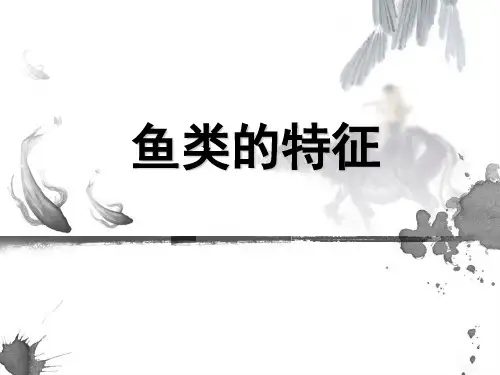 鱼类的特征