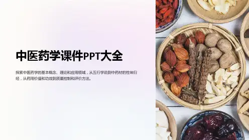 “中医药学课件PPT大全”