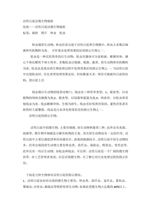活性污泥法微生物镜检
