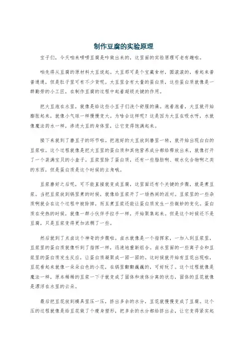 制作豆腐的实验原理