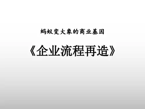 企业流程再造培训教材.pptx