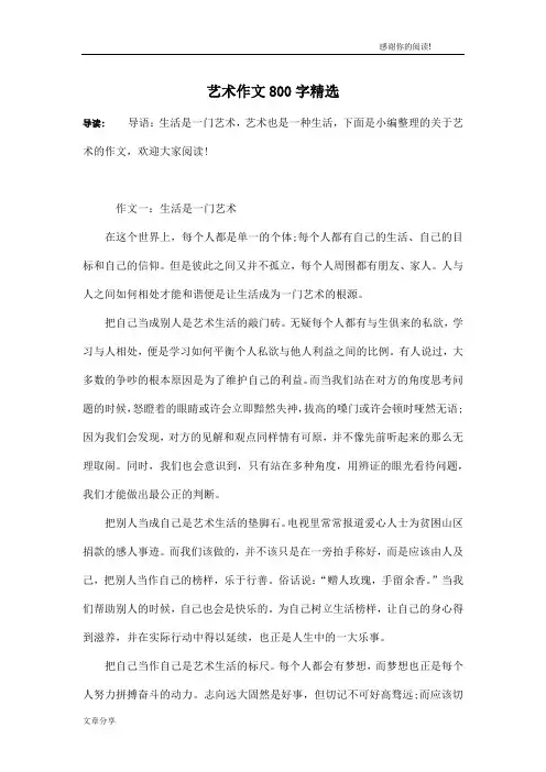 艺术作文800字精选