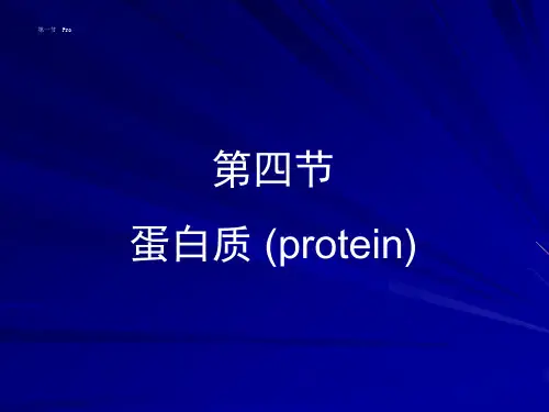 食品营养学蛋白质