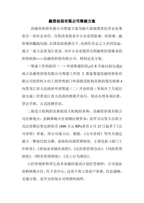 融资担保有限公司筹建方案.doc