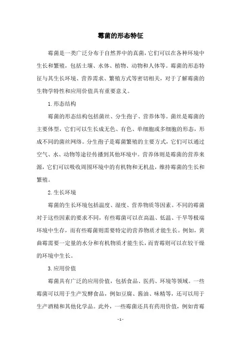 霉菌的形态特征