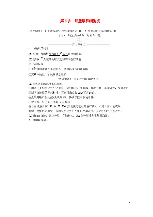 2020年高考生物一轮复习第2单元细胞的结构和物质的输入输出第5讲细胞膜和细胞核学案(含解析)(必修1)