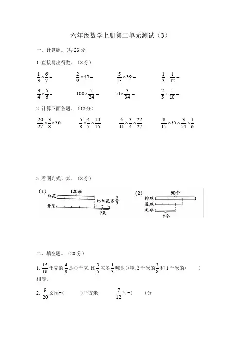 六年级数学上册单元测试 第二单元  含答案 苏教版