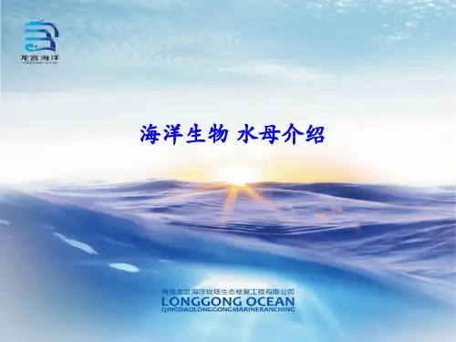 龙宫海洋——水母种类及生活习性