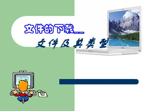 文件以及格式详细说明 ppt课件