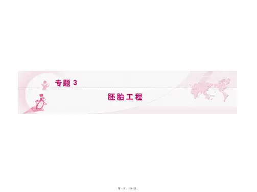 高考生物 第一轮复习 专题 3 胚胎工程精品课件 新人教版选修3