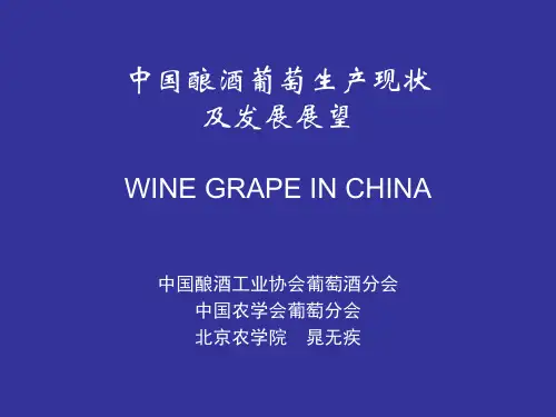 中国酿酒葡萄生产现状及发展展望