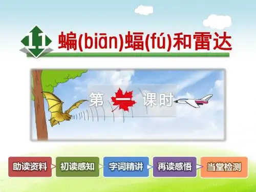 蝙蝠和雷达PPT课件最新4下人教版第11课