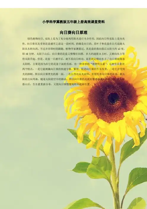 小学科学冀教版五年级上册高效课堂资料向日葵向日原理