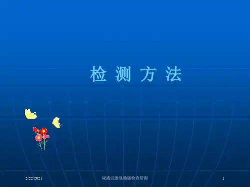 尿液沉渣显微镜检查带图课件
