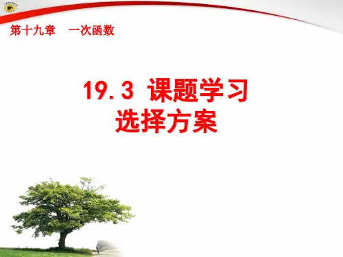 19.3课题学习