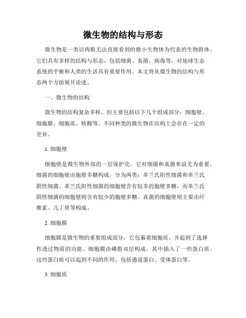 微生物的结构与形态