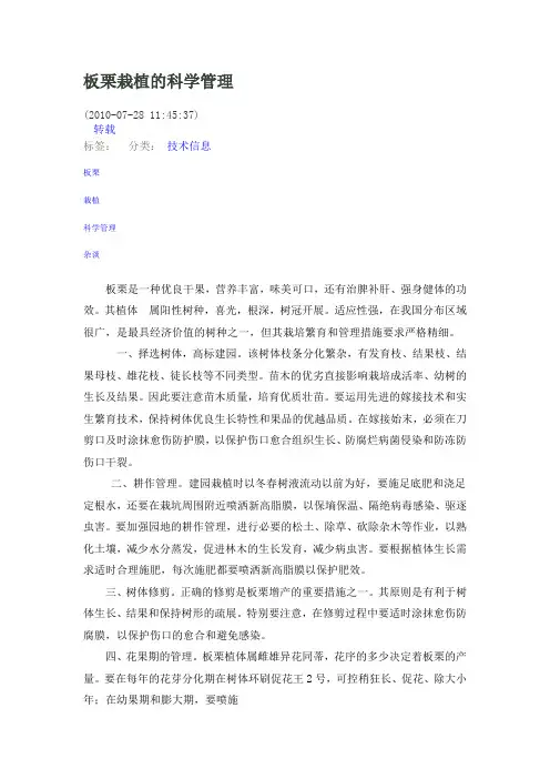 板栗栽植的科学管理(参考Word)
