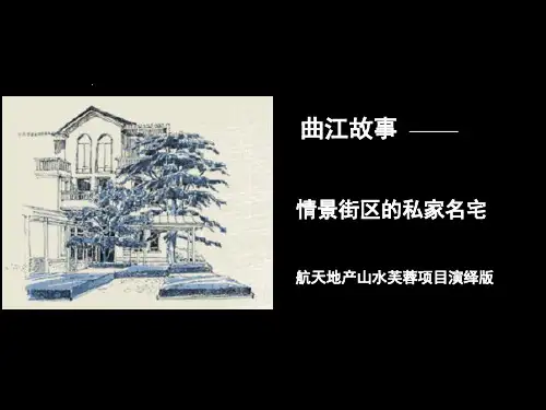 别墅项目定位报告分析