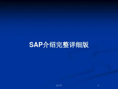 SAP介绍完整详细版PPT教案