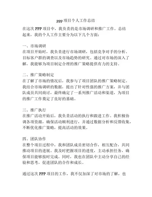 ppp项目个人工作总结