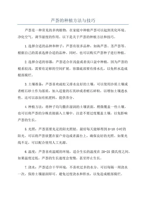 芦荟的种植方法与技巧