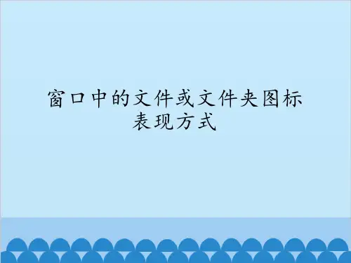 窗口中的文件或文件夹图标表现方式课件