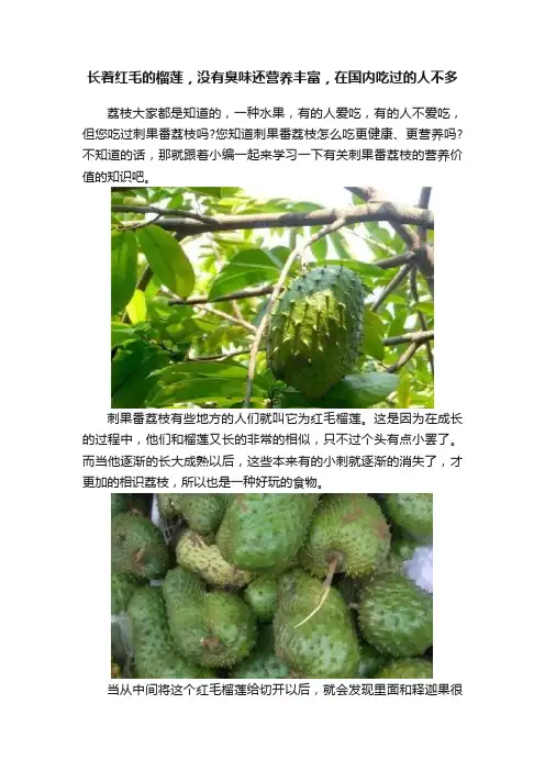 长着红毛的榴莲，没有臭味还营养丰富，在国内吃过的人不多