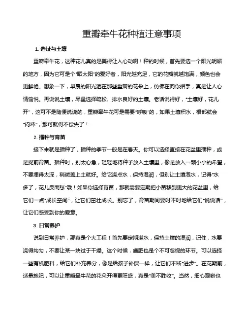 重瓣牵牛花种植注意事项