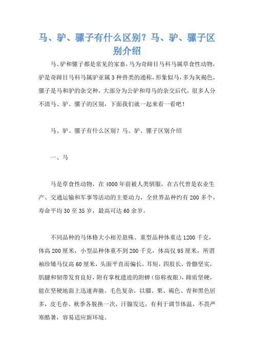 马、驴、骡子有什么区别？马、驴、骡子区别介绍