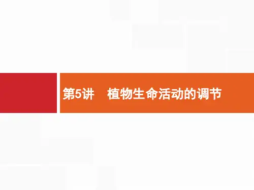 2019高三生物(苏教版)一轮课件：10.5 植物生命活动的调节
