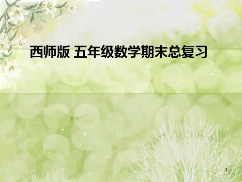 西师版五年级下册数学总复习全部PPT课件