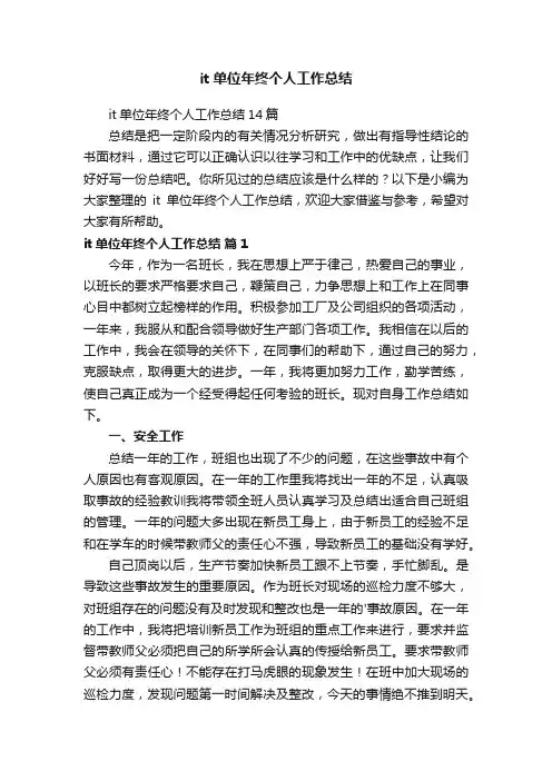 it单位年终个人工作总结14篇