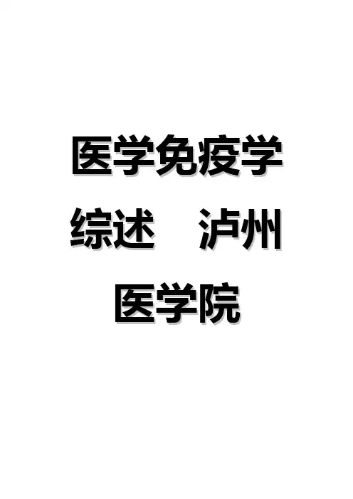 综述范文