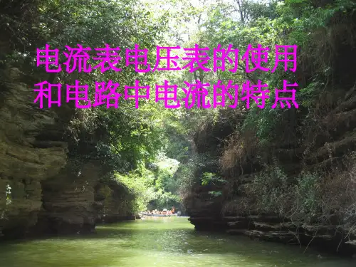 电流表电压表的使用和电路中电流的特点
