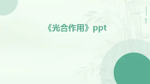 《光合作用》ppt
