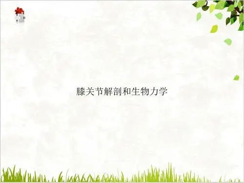 膝关节解剖和生物力学PPT.