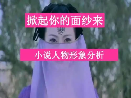 准确概括和分析小说人物形象PPT课件