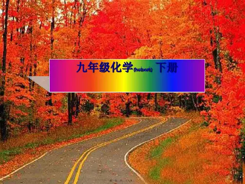 九年级化学下册 第十一单元 盐 化肥 课题1 生活中常见的盐课件 
