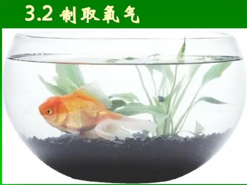 科粤版化学九年级上册 3.2 制取氧气 课件(共14张PPT)