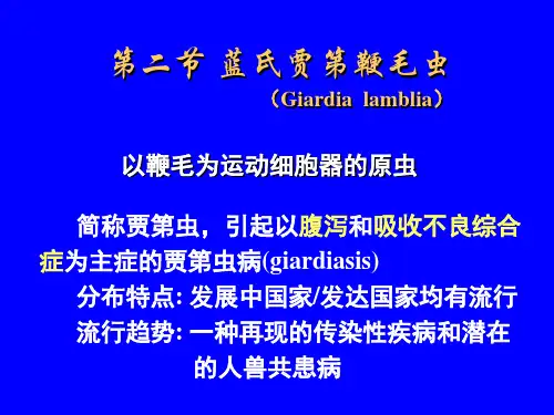 贾第鞭毛虫