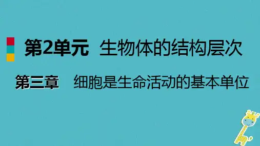 植物细胞的结构与功能课件(苏教版)