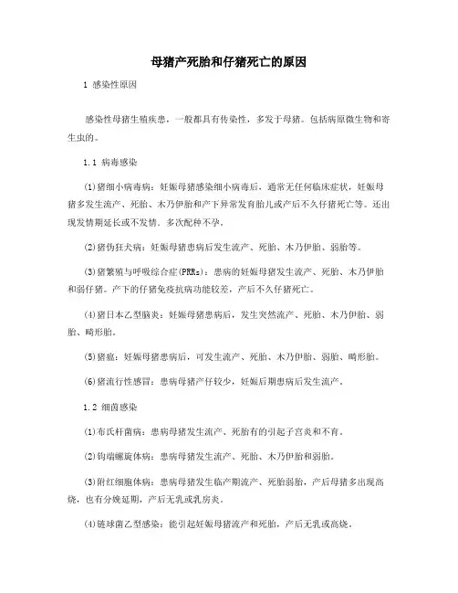母猪产死胎和仔猪死亡的原因