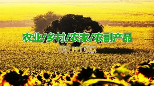 【乡村振兴ppt模板】绿色农业乡村农家农副产品推广宣传PPT模板
